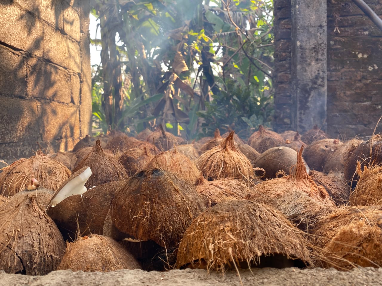 Produksi Kopra